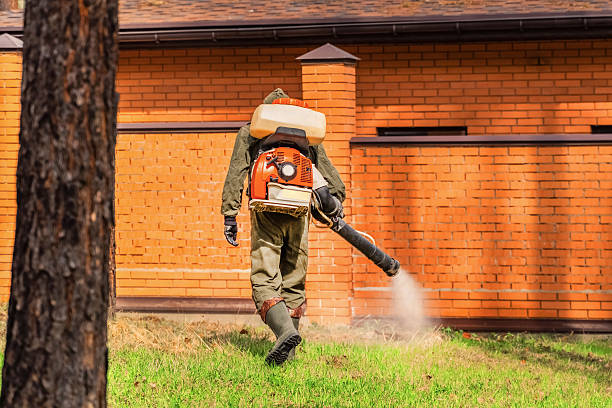 Trusted Mosquito Control service in White Center, WA - Nex Pest Control
